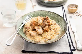 Risotto au lapin et mélange de champignons séchées et parmesan