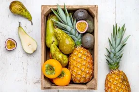 Le grand panier de fruits BIO