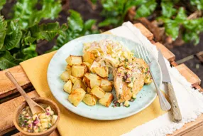 Filet de poulet grillé et pico de gallo à la mangue