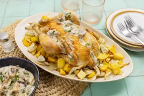 Poulet et fenouil rôtis et sauce forestière