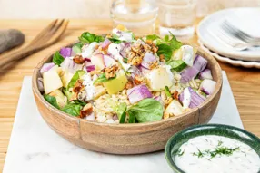 Salade d’orzo, radis roses et sauce fraiche aux herbes